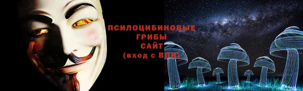 spice Богородицк