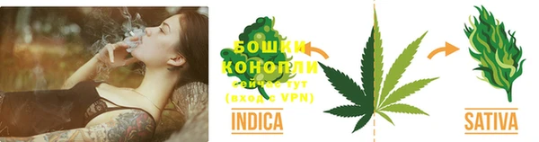 стафф Богородск