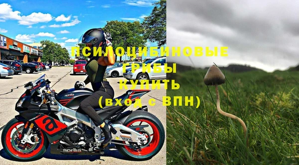 spice Богородицк