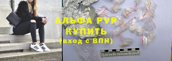 прущие грибы Снежинск