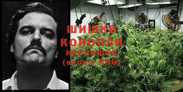 PSILOCYBIN Слюдянка