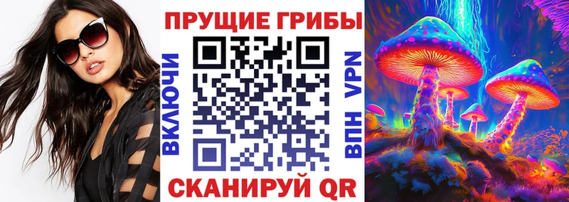 Галлюциногенные грибы MAGIC MUSHROOMS  Старица 